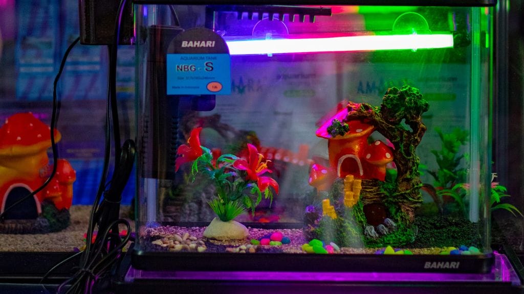Tank Decor